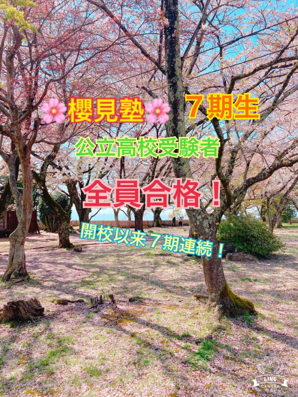 櫻見塾 7期生公立入試結果報告|櫻見塾【彦根市の個別指導塾】