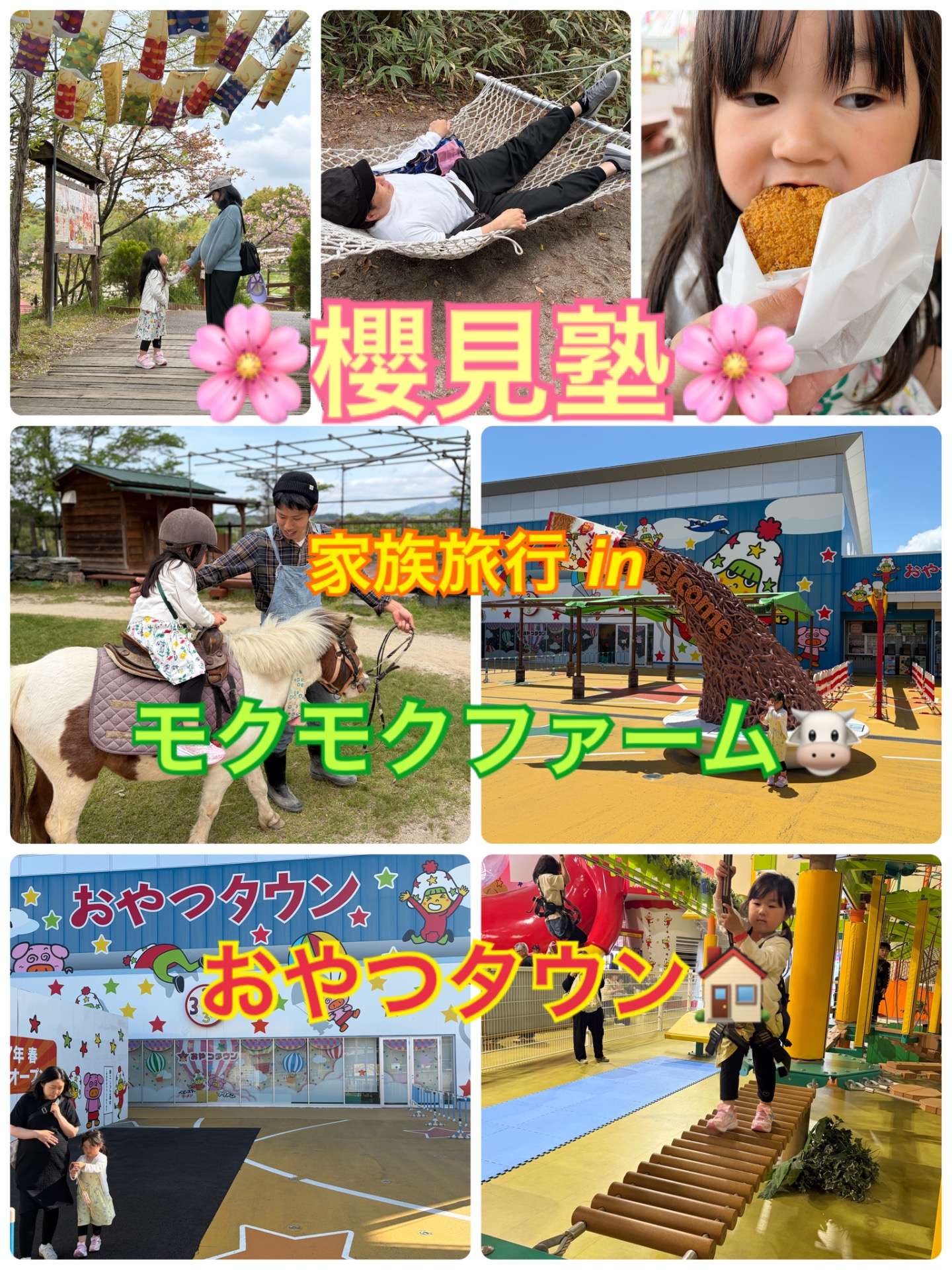 ひさしぶりの｜櫻見塾【彦根市の個別指導塾】